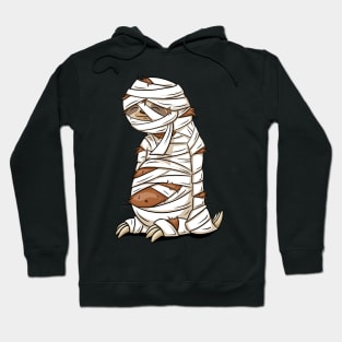 Sleepy Sloth Mummy Halloween Sloth Costume Hoodie